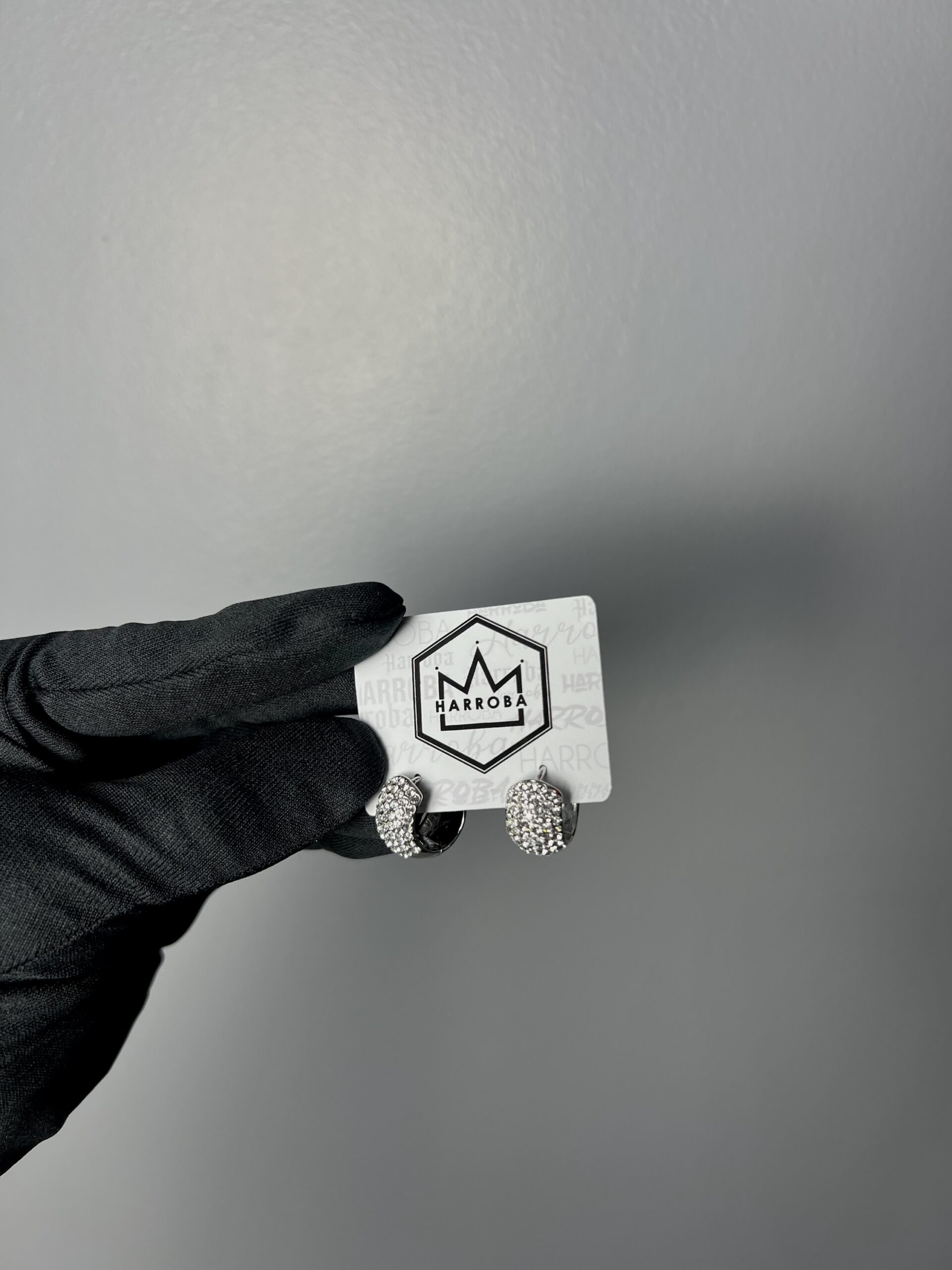 BRINCO CRAVEJADO PRATA G